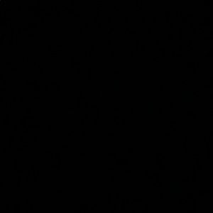 Meet your Posher, Bailey